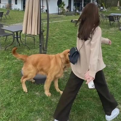 汉娜的驱魔