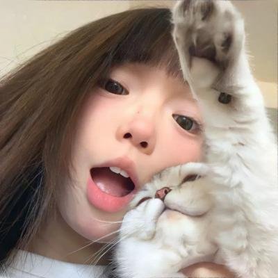 虎·破